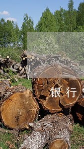 银行贷款逾期罚息计息模板 银行贷款逾期罚息计息模板