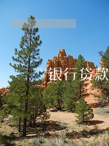 银行贷款逾期能不能停息挂账 银行贷款逾期能不能停息挂账
