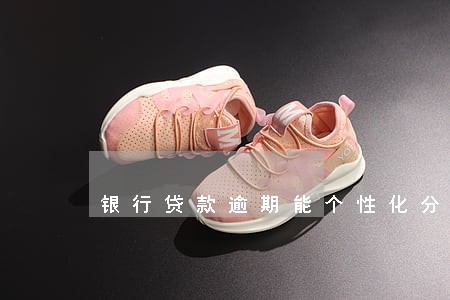 银行贷款逾期能个性化分期吗 银行贷款逾期能个性化分期吗