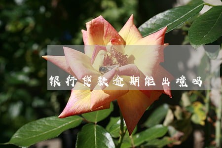 银行贷款逾期能出境吗 银行贷款逾期能出境吗