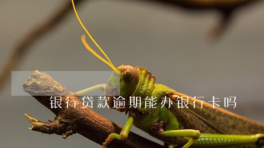 银行贷款逾期能办银行卡吗 银行贷款逾期能办银行卡吗