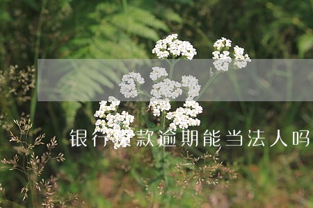 银行贷款逾期能当法人吗 银行贷款逾期能当法人吗