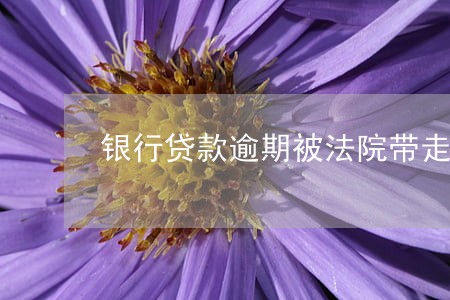 银行贷款逾期被法院带走 银行贷款逾期被法院带走
