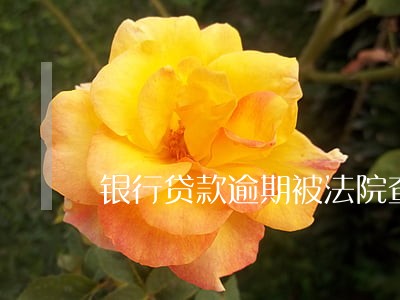 银行贷款逾期被法院查封