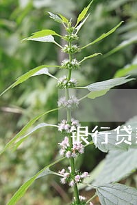 银行贷款逾期被诉讼 银行贷款逾期被诉讼