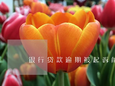 银行贷款逾期被起诉能撤销吗 银行贷款逾期被起诉能撤销吗