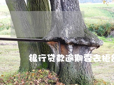 银行贷款逾期要去柜台还款吗 银行贷款逾期要去柜台还款吗
