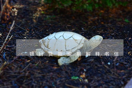 银行贷款逾期解释书信 银行贷款逾期解释书信