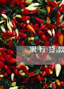 银行贷款逾期解释说明 银行贷款逾期解释说明