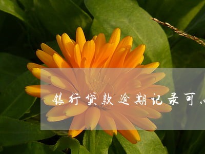 银行贷款逾期记录可以消除吗 银行贷款逾期记录可以消除吗