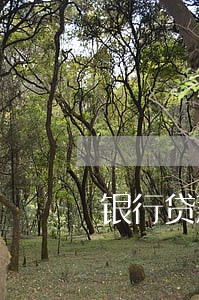 银行贷款逾期记录多久能消 银行贷款逾期记录多久能消