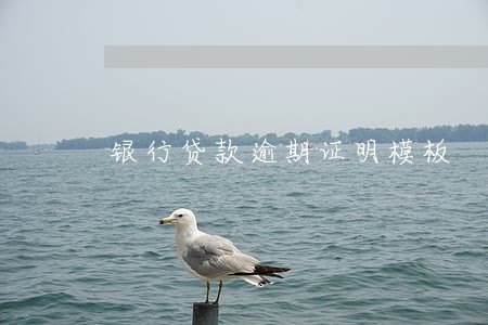 银行贷款逾期证明模板 银行贷款逾期证明模板