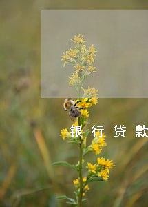银行贷款逾期证明盖什么章 银行贷款逾期证明盖什么章