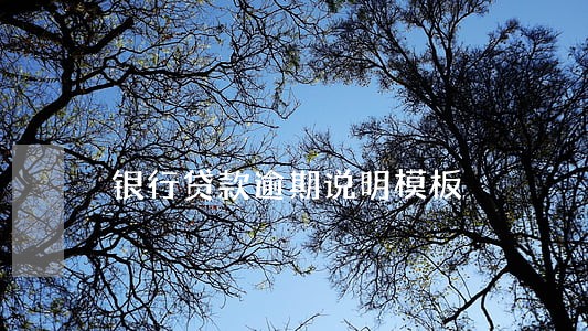 银行贷款逾期说明模板