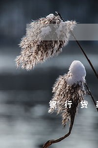 银行贷款逾期贷款催收心得 银行贷款逾期贷款催收心得