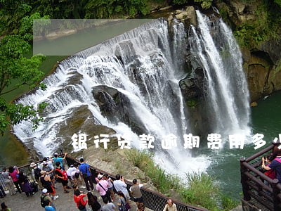 银行贷款逾期费用多少 银行贷款逾期费用多少