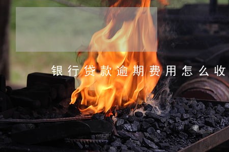 银行贷款逾期费用怎么收费 银行贷款逾期费用怎么收费