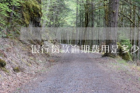银行贷款逾期费用是多少 银行贷款逾期费用是多少
