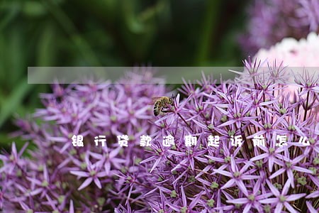 银行贷款逾期起诉前怎么和解 银行贷款逾期起诉前怎么和解