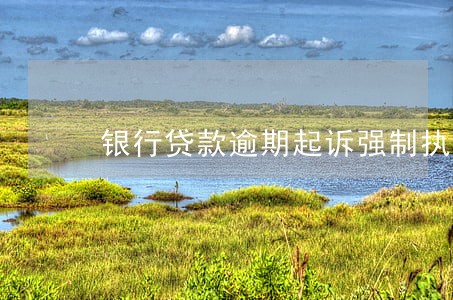 银行贷款逾期起诉强制执行 银行贷款逾期起诉强制执行