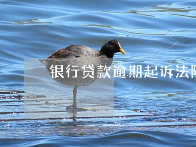 银行贷款逾期起诉法院抓人 银行贷款逾期起诉法院抓人