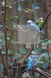银行贷款逾期跨月 银行贷款逾期跨月