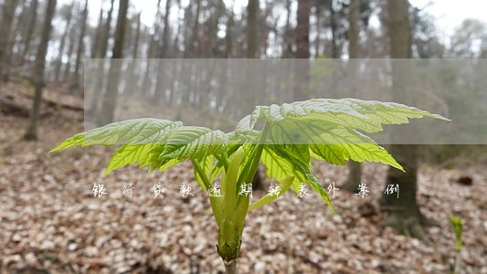 银行贷款逾期转表外案例 银行贷款逾期转表外案例