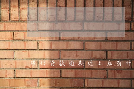 银行贷款逾期还上后有什么影响 银行贷款逾期还上后有什么影响