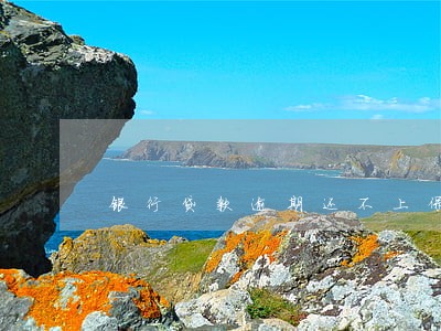 银行贷款逾期还不上保人责任