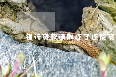 银行贷款逾期还了还能贷款吗 银行贷款逾期还了还能贷款吗