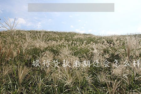 银行贷款逾期还会怎么样 银行贷款逾期还会怎么样