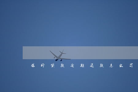 银行贷款逾期还款怎么罚 银行贷款逾期还款怎么罚