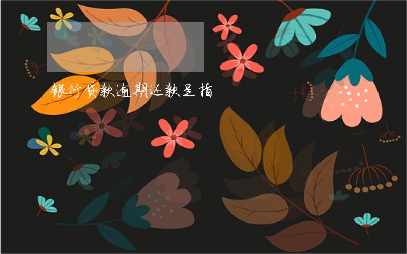 银行贷款逾期还款是指