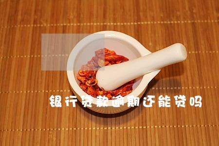 银行贷款逾期还能贷吗 银行贷款逾期还能贷吗