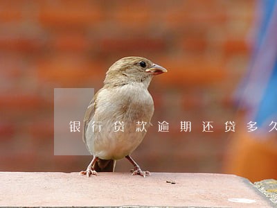银行贷款逾期还贷多久 银行贷款逾期还贷多久