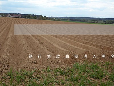 银行贷款逾期进入黑名单 银行贷款逾期进入黑名单