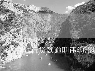 银行贷款逾期违约滞纳金 银行贷款逾期违约滞纳金