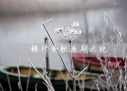 银行贷款逾期逃跑 银行贷款逾期逃跑