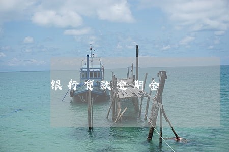 银行贷款逾期金 银行贷款逾期金