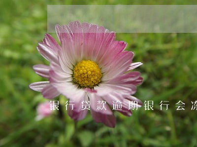 银行贷款逾期银行会冻结银行卡吗 银行贷款逾期银行会冻结银行卡吗