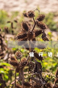 银行贷款逾期银行会怎么办 银行贷款逾期银行会怎么办