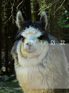 银行贷款逾期银行起诉流程 银行贷款逾期银行起诉流程