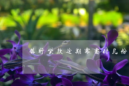 银行贷款逾期需要付几份利息 银行贷款逾期需要付几份利息