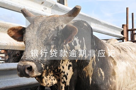 银行贷款逾期非应记 银行贷款逾期非应记