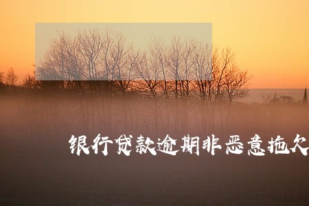 银行贷款逾期非恶意拖欠说明 银行贷款逾期非恶意拖欠说明