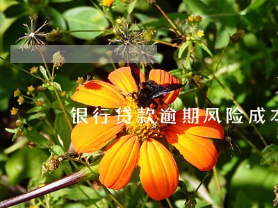 银行贷款逾期风险成本是多少