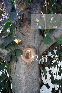 银行贷款逾期骚扰家人 银行贷款逾期骚扰家人