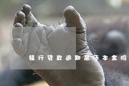 银行贷款逾期高于本金吗 银行贷款逾期高于本金吗
