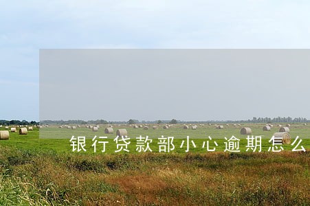 银行贷款部小心逾期怎么办 银行贷款部小心逾期怎么办