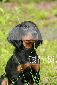 银行贷款都有逾期违约金吗 银行贷款都有逾期违约金吗